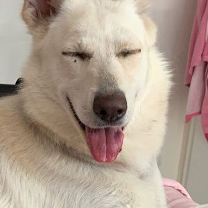 Meet your Posher, Rosa